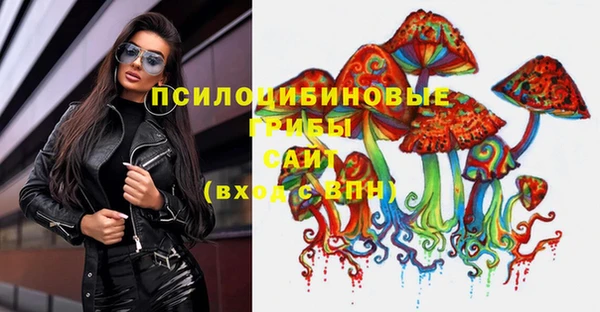 крисы Алексеевка