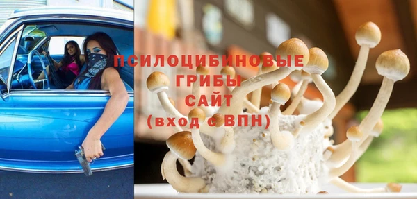 гашик Алзамай