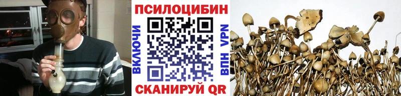 Псилоцибиновые грибы ЛСД  купить наркотики цена  kraken как войти  Карачаевск 
