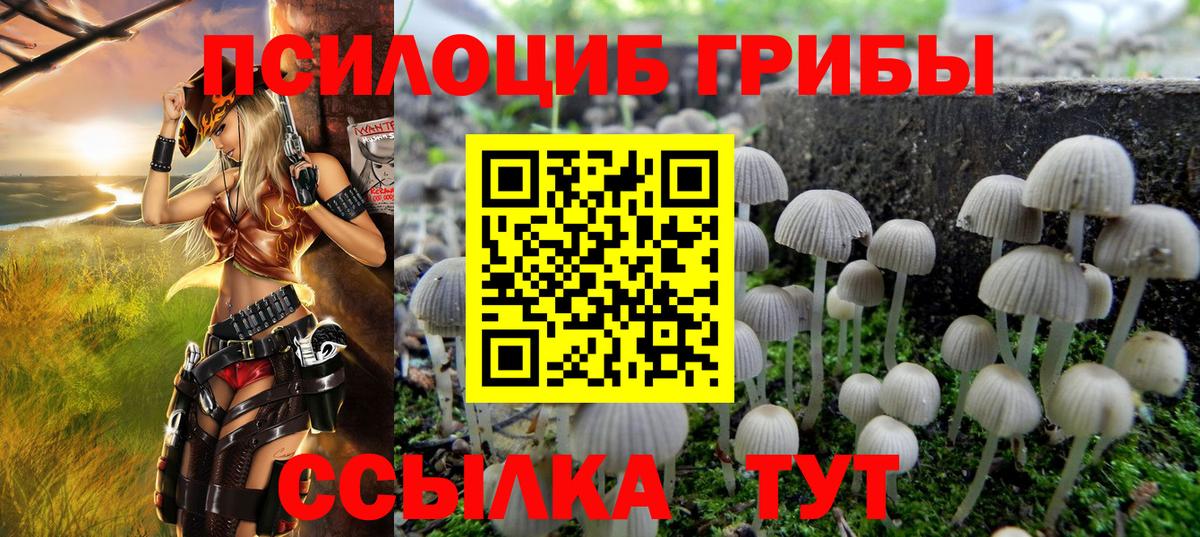 Псилоцибиновые грибы Magic Shrooms  как найти закладки  Карачаевск  Галлюциногенные грибы мухоморы  Вход с VPN 