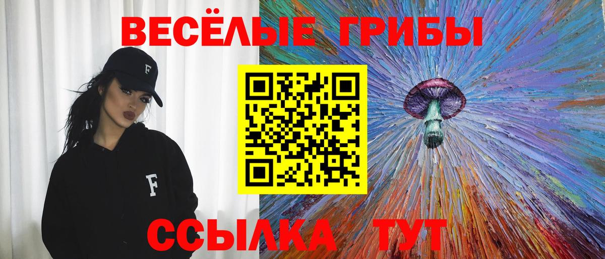 Галлюциногенные грибы прущие грибы Карачаевск